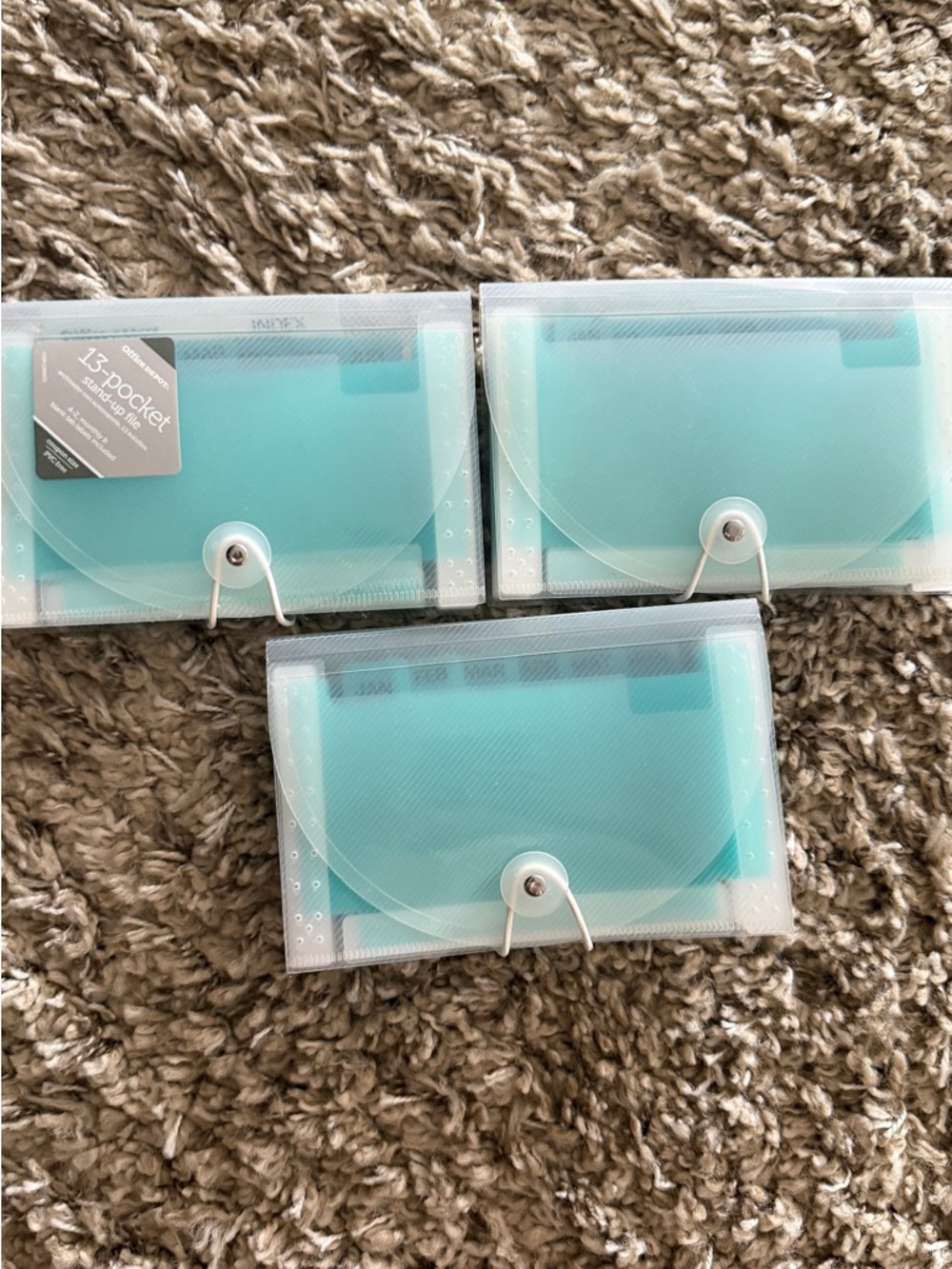 Clear Envelope Accordion File Organizer with Teal Dividers